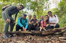 SGNP Wildlife+Kanheri Caves+Tiger Safari+Tribal Village+Temple