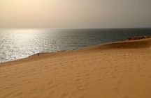 Timlaline Sandboarding Adventure From Agadir or Taghazout
