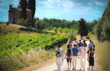 Guided Tour of the Cellars with Wine Tasting and Lunch