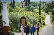 Guided Tour of the Cellars with Wine Tasting and Lunch