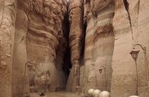 Al Ahsa Full city tour