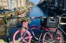 Amsterdam Food Tour with Full Meal & Drinks by Do Eat Better