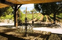 Wine Tour in Roussillon: Picnic & Tasting Day 