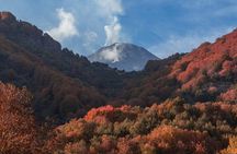 Etna tour with lunch and glass of wine DA Syracuse