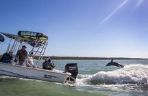 Marco Island Dolphin Watching & Tubing Adventure