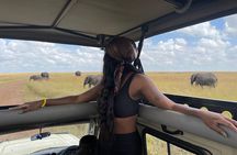 Day Trip to Amboseli National Park and Masai Village from Nairobi