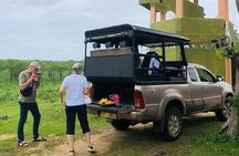 Royal Trails Safari at Kumana National Park