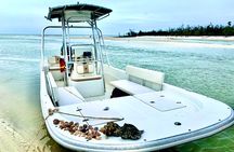 Marco Island Private Tubing, Dolphin Watching and Shelling Tour