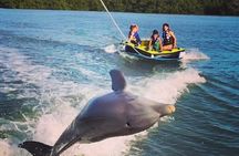 Marco Island Private Tubing, Dolphin Watching and Shelling Tour