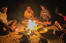 Royal Trails Safari at Kumana National Park
