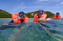 Pattaya Koh Larn Island and Truth Sanctuary Day Tour