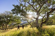 Walking safari & game drive Day trip in Arusha National park