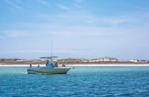 1.5 Hr Private or Shared Sunset Power Boat Tour