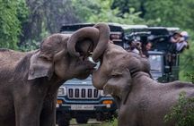 Udawalawe Jeep Safari from Bentota Aluthgama Berawula Area