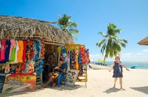 Saona VIP Three Beach Paradise and Turtle Sanctuary Experience