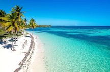 Saona VIP Three Beach Paradise and Turtle Sanctuary Experience