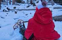 Private Snowshoe Tour in Rocky Mountain National Park (seasonal)