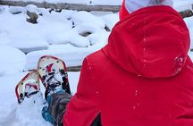 Private Snowshoe Tour in Rocky Mountain National Park (seasonal)