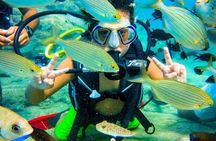 Scuba Diving in Marmaris and Icmeler with Lunch and Transfer 