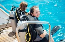 Scuba Diving in Marmaris and Icmeler with Lunch and Transfer 