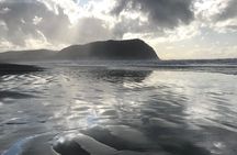 Oregon Coast Scenic Day Tour