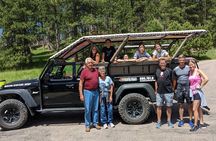 JEEP Bison Safari at Custer State Park + Mt Coolidge Fire Lookout