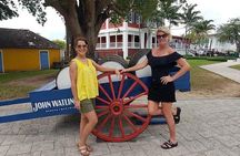 Nassau Family Buggy Tour Up to 6 Guest Free Pickup Beach Samples