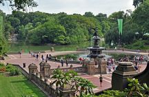 Pedicab 1 Hour Central Park Tour 