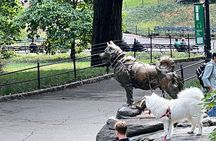 Pedicab 1 Hour Central Park Tour 