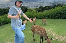 Explore Nara in a Day Van Tour from Kyoto