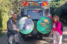 4 Days 4WD Private Maasai Mara, Nakuru Parks with Lodge LUXURY