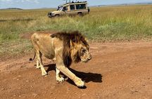 4 Days 4WD Private Maasai Mara, Nakuru Parks with Lodge LUXURY