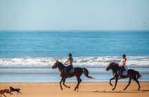 Agadir and Taghazout: 2 Hours Horseback Ride on the Beach