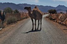 Jeep Safari Sahara Agadir Desert 4x4 Day Tour with Lunch