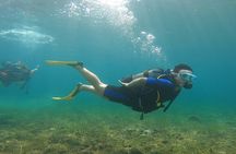 Open Water Course in Nea Makri, Athens