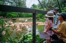 Houston Zoo Admission Ticket