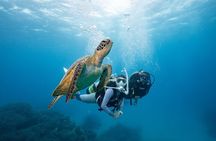 Zakynthos Scuba Diving Experience with Underwater Photos