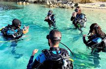 Zakynthos Scuba Diving Experience with Underwater Photos