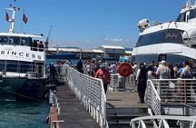 Robben Island Half Day Tour With Pre Booked Ticket from Cape Town