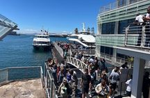 Robben Island Half Day Tour With Pre Booked Ticket from Cape Town