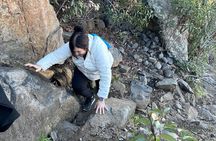 San Diego Mountain Hike Tour