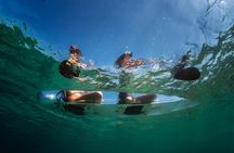 Rent a Transparent Kayak - Discover the Underwater Magic