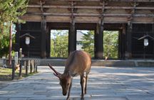 Nara Early Bird Tour (Osaka Departure Option)
