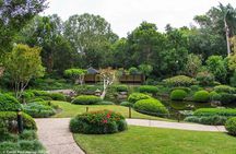 Brisbane Insights 4 Hour Tour