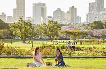 Brisbane Insights 4 Hour Tour