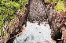 Ultimate View Izu Tour with Hotel Pickup, japanese guide