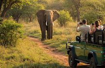 Full Day Kruger Safari from Maputo Open Backed Safari Vehicle