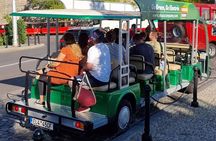 Pilsen Beer Bus for 18 years old above