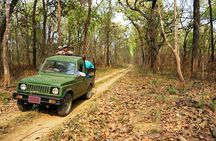 Chitwan Jungle Safari 3-Day Tour
