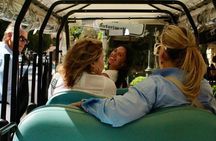 Rome Private Golf Cart Tour